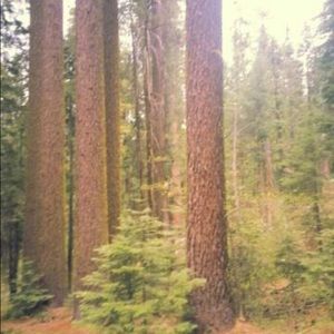 Meet your Posher, Carolina